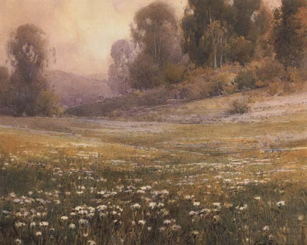 California landscape, unknow artist